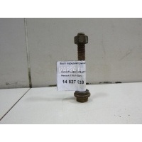 Болт переднего рычага Renault Scenic (1996 - 1999) 7703102041