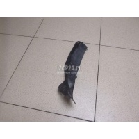 Пыльник (кузов внутри) Nissan X-Trail (T30) (2001 - 2006) 658368H300