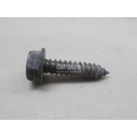 Крепеж Nissan X-Trail (T30) (2001 - 2006) 085666255A
