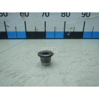 Пробка маслосливная дифференциала Nissan Navara (D40) (2005 - 2015) 321034N21A