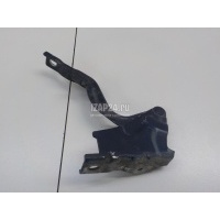 Петля капота левая Hyundai-Kia Santa Fe (CM) (2006 - 2012) 791102B000