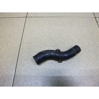 Шланг системы охлаждения Hyundai-Kia Santa Fe (CM) (2006 - 2012) 2564027401