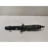 Амортизатор передний правый Honda Accord VIII (2008 - 2015) 51611TL2A01