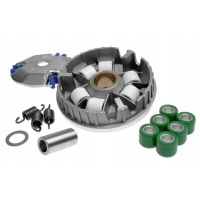 Сроки polini speed control , aerox jog neos bws