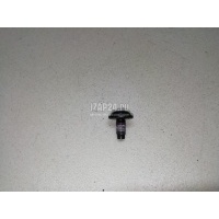 Болт крепления дверной петли VAG A5/S5 [8T] Coupe/Sportback (2007 - 2016) WHT003237