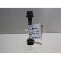 Болт переднего рычага Renault Symbol II (2008 - 2012) 7703102041