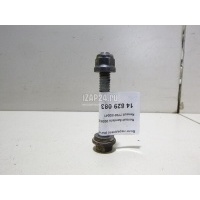 Болт переднего рычага Renault Symbol II (2008 - 2012) 7703102041