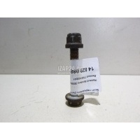 Болт переднего рычага Renault Symbol II (2008 - 2012) 7703102041