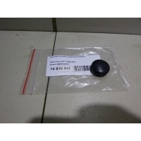 Крышка поводка стеклоочистителя Nissan Juke (F15) (2011 - 2019) 28882AU300