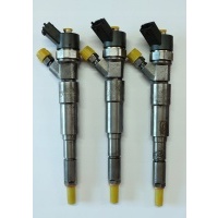 Форсунки bmw 0445110029 protokół гарантия