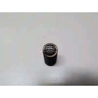 Пружина клапана Renault Duster 2012 132030794R