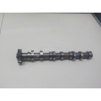 Распредвал выпускной VAG A8 [4D] (1994 - 1998) 059109009BL