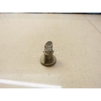 Патрон указателя поворота VAG Octavia (A4 1U-) (2000 - 2011) 1U0953123B