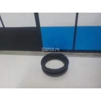 Кольцо уплотнительное (двигатель) Ford Focus I (1998 - 2005) 1089167