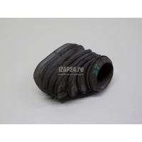 Уплотнитель (наружный) VAG Passat [B5] (2000 - 2005) 8D0959845E