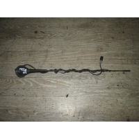 Антенна Renault Megane VF1LM1A0H33764303 2005 8200282256