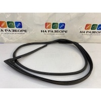 уплотнительная резинка на дверь Toyota Avensis T270 2009 67861-05060