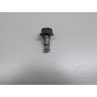 Болт суппорта Nissan Pathfinder (R51) (2005 - 2014) 411360W700