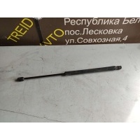 Амортизатор крышки багажника (3-5 двери) Peugeot 307 2002 9638605280