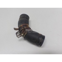 Патрубок радиатора Honda Jazz (2002 - 2008) 19508PWAJ00
