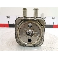 Теплообменник Audi A6 C5 (1997-2004) 2001 ,028117021E