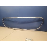 Молдинг решётки радиатора Mercedes E-klasse W213 2016- A2138850200