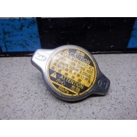 Крышка радиатора Toyota Space Runner (N6) (1999 - 2002) 1640120353