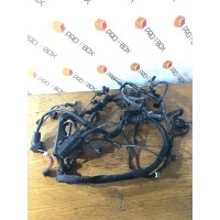 Проводка двигателя Mercedes S-class W221 2006 A6421500120