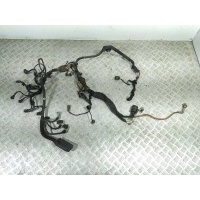 Проводка двигателя 1.7CDTI. Z17DTL. Opel Astra G 2004 13110544