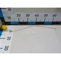 Крышка бачка омывателя Renault Fluence (2010 - 2017) 289130004R