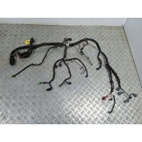 Проводка двигателя 1.4i 16V. Nissan Micra 3 (K12) 2005 24011BC001