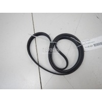 Ремень ручейковый BMW Z4 E85/E86 (2002 - 2008) 11287628651