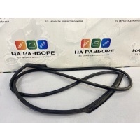 уплотнительная резинка на дверь Chevrolet Captiva C100 2007 95201668