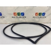 уплотнительная резинка на дверь Chevrolet Captiva C100 2007 95201668