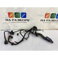 проводка двери Audi Q3 8UB 2012 8U0971687C