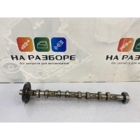 распредвал Audi Q3 8UB 2012 06H109022BC