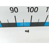 Болт полый Volvo TRUCK FS7 (1991 - 1996) 968177