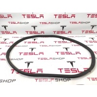 Уплотнитель Tesla Model S 2016 6009581-00-C