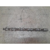 распредвал впускной VW Jetta 2005-2011 2006 06d109101al