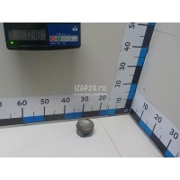 Поршень VAG A3 [8PA] Sportback (2004 - 2013) 06H107065BK