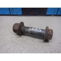 Болт BMW X5 E53 (2000 - 2007) 31331096307