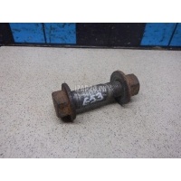 Болт BMW X5 E53 (2000 - 2007) 31331096307
