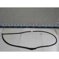 Уплотнитель двери Hyundai-Kia RIO (2005 - 2011) 821401G000