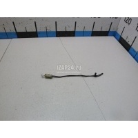 Патрон лампы VAG Passat [B6] (2005 - 2010) 8L0941953