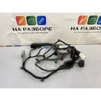 проводка двери Land Rover Freelander 2 L359 2007 LR002380
