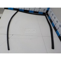 Уплотнитель стекла двери Nissan Tiida (C11) (2007 - 2014) 82331EL40A