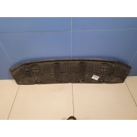 Защита бампера переднего Audi Q3 8U 2012-2018 8U0807233A
