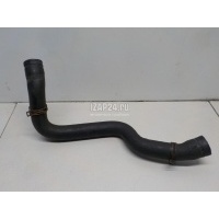 Патрубок радиатора Ford Transit (2006 - 2013) 1371293
