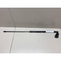 Амортизатор двери багажника Nissan Juke (F15) (2011 - 2019) 904501KA1B
