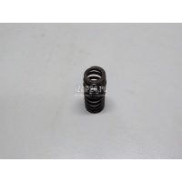 Пружина клапана выпускного VAG Polo (Sed RUS) (2011 - 2020) 04E109623C